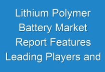 Lithium Polymer Battery Market Report Features Leading Players and Forecast The Future For The Period By 2024