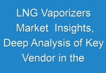 LNG Vaporizers Market Insights, Deep Analysis of Key Vendor in the Industry 2019-2029