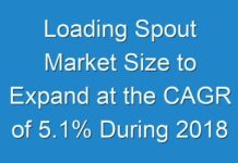 Loading Spout Market Size to Expand at the CAGR of 5.1% During 2018 to 2028, Fact.MR