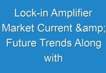 Lock-in Amplifier Market Current & Future Trends Along with Upcoming Opportunities By 2030