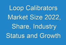 Loop Calibrators Market Size 2024, Share, Industry Status and Growth opportunities for Leading Players