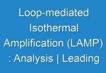 Loop-mediated Isothermal Amplification (LAMP) : Analysis | Leading Players, Industry Updates, Future Growth, Business Prospects 2024 – 2030