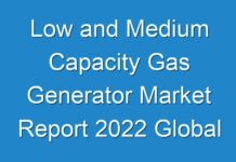 Low and Medium Capacity Gas Generator Market Report 2024 Global Industry Size, Segment By Key Companies, Types, Applications And Forecast To 2030