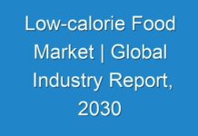 Low-calorie Food Market | Global Industry Report, 2030