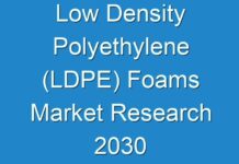 Low Density Polyethylene (LDPE) Foams Market Research 2030