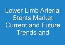 Lower Limb Arterial Stents Market Current and Future Trends and Demand during the forecast Period 2018-2028