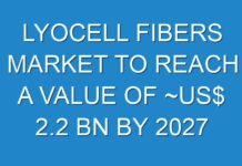 LYOCELL FIBERS MARKET TO REACH A VALUE OF ~US$ 2.2 BN BY 2027