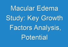Macular Edema Study: Key Growth Factors Analysis, Potential Opportunities and Prospects 2017-2025
