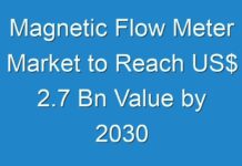 Magnetic Flow Meter Market to Reach US$ 2.7 Bn Value by 2030