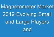 Magnetometer Market 2019 Evolving Small and Large Players and Forecast 2027