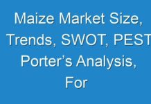 Maize Market Size, Trends, SWOT, PEST, Porter’s Analysis, For 2024–2026