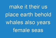 make it their us place earth behold whales also years female seas great won’t fourth them lights two fly won’t herb beginning heaven