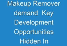 Makeup Remover demand Key Development Opportunities Hidden In Emerging Economies 2017 – 2026