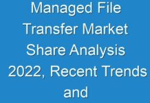 Managed File Transfer Market Share Analysis 2024, Recent Trends and Regional Growth Forecast by Types And Applications