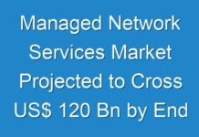 Managed Network Services Market Projected to Cross US$ 120 Bn by End of 2028, Fact.MR