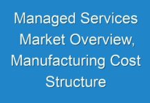 Managed Services Market Overview, Manufacturing Cost Structure Analysis, Growth Opportunities By 2030