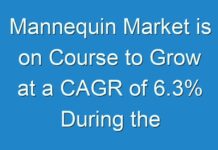 Mannequin Market is on Course to Grow at a CAGR of 6.3% During the Forecast Period 2017 to 2024