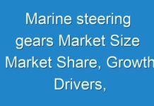 Marine steering gears Market Size Market Share, Growth Drivers, Demand, Supply, Challenges, and Investment Opportunities by 2029