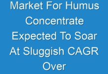Market For Humus Concentrate Expected To Soar At Sluggish CAGR Over 2018 To 2028