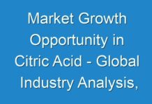 Market Growth Opportunity in Citric Acid – Global Industry Analysis, Size, Share, Trends, and Forecast 2018 – 2026
