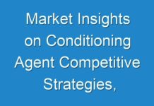 Market Insights on Conditioning Agent Competitive Strategies, Application Analysis, Regional, and Forecasts 2017 To 2026