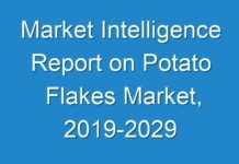 Market Intelligence Report on Potato Flakes Market, 2019-2029