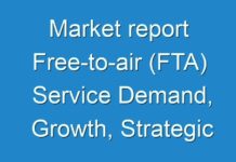Market report Free-to-air (FTA) Service Demand, Growth, Strategic Opportunities and Leading Players Forecast To 2024