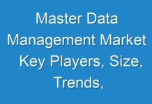 Master Data Management Market Key Players, Size, Trends, Opportunities and growth Analysis