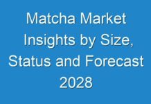 Matcha Market Insights by Size, Status and Forecast 2028