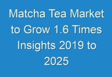 Matcha Tea Market to Grow 1.6 Times Insights 2019 to 2025