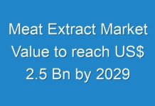 Meat Extract Market Value to reach US$ 2.5 Bn by 2029