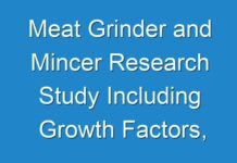 Meat Grinder and Mincer Research Study Including Growth Factors, Types and Application by Regions from 2024 To 2031