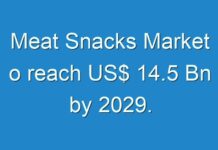 Meat Snacks Market o reach US$ 14.5 Bn by 2029.