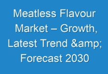 Meatless Flavour Market – Growth, Latest Trend & Forecast 2030