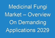 Medicinal Fungi Market – Overview On Demanding Applications 2029