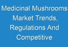Medicinal Mushrooms Market Trends, Regulations And Competitive Landscape Outlook to 2030