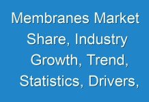 Membranes Market Share, Industry Growth, Trend, Statistics, Drivers, Demand, Key Companies by 2027