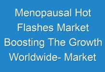 Menopausal Hot Flashes Market Boosting The Growth Worldwide- Market Dynamics And Trends, Efficiencies Forecast 2019 – 2027