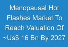 Menopausal Hot Flashes Market To Reach Valuation Of ~Us$ 16 Bn By 2027