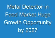 Metal Detector in Food Market Huge Growth Opportunity by 2027