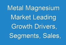 Metal Magnesium Market Leading Growth Drivers, Segments, Sales, Profits and Future Outlook