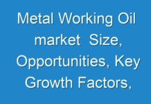 Metal Working Oil market Size, Opportunities, Key Growth Factors, Revenue Analysis