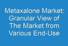 Metaxalone Market: Granular View of The Market from Various End-Use Segments 2024 to 2030