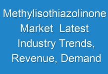 Methylisothiazolinone Market Latest Industry Trends, Revenue, Demand and Driving Factors to 2029