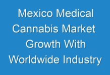 Mexico Medical Cannabis Market Growth With Worldwide Industry Analysis To 2019 – 2027
