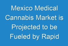 Mexico Medical Cannabis Market is Projected to be Fueled by Rapid Technological Advancements