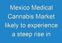 Mexico Medical Cannabis Market likely to experience a steep rise in its growth during the forecast period 2019-2027