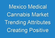 Mexico Medical Cannabis Market Trending Attributes Creating Positive Impact On The Industry Shares 2019 – 2027
