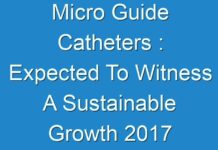 Micro Guide Catheters : Expected To Witness A Sustainable Growth 2017 – 2024