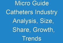 Micro Guide Catheters Industry Analysis, Size, Share, Growth, Trends And Forecast 2017 – 2024